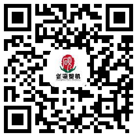 the qr code